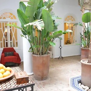 Riad Dar Loulema, Essaouira